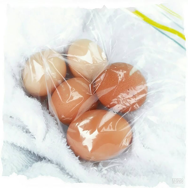 five-fresh-chicken-eggs-zero-dean
