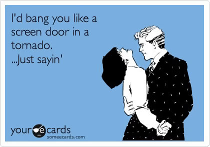 id-bang-you-like-a-screen-door-in-a-tornado