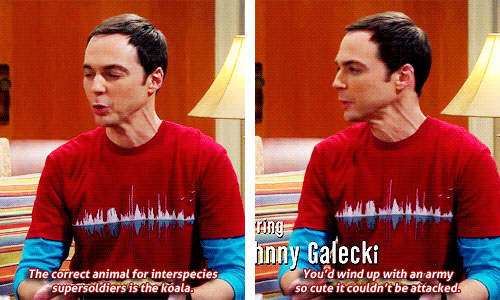 koala-supersoldiers-big-bang-theory