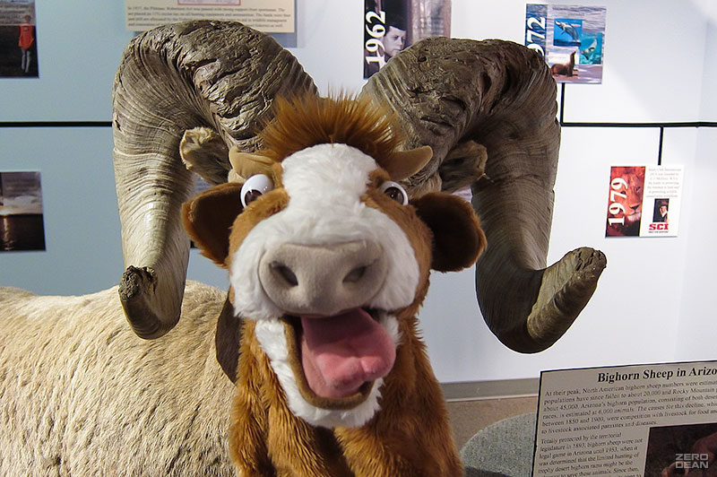 moolander-bighorn-sheep-horns-zero-dean