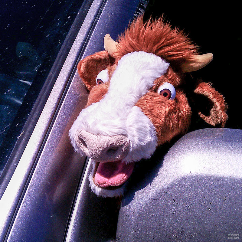moolander-sticks-head-out-window-zero-dean
