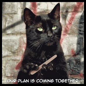 our-plan-is-coming-together