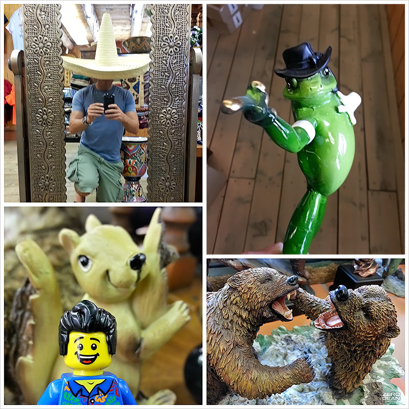 selfie-with-frog-bill-dollar-squirrel-and-two-bears-fighting