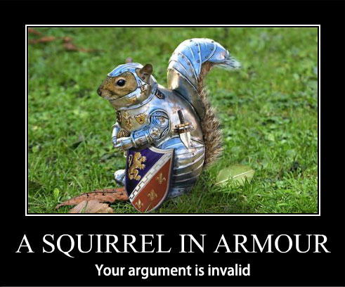 squirrel-in-armour-argument-invalid